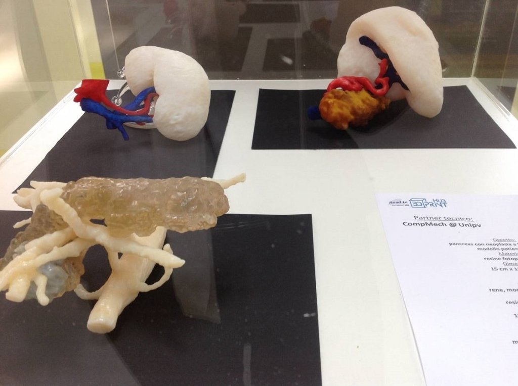 Biomodelos e o Mercado de $17&nbsp;bi!