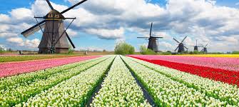 Seminário: Políticias públicas para o envelhicmento saudável. O que Brasil pode aprender com a Holanda?&nbsp;(17/05)