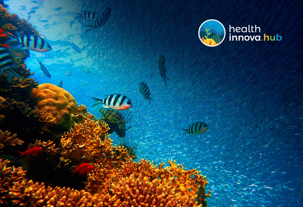 Health Innova HUB abre seleção para Startups de Saúde!&nbsp;Participe!