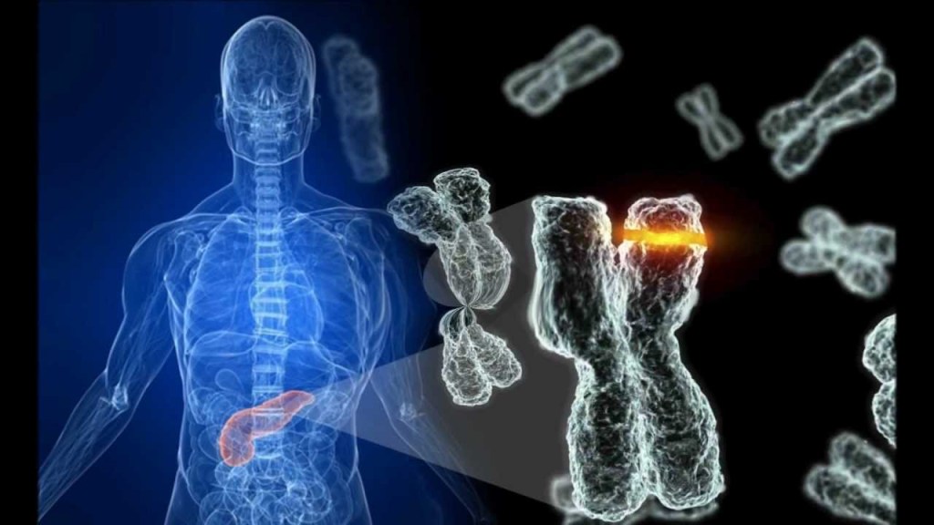 AO VIVO: Hugo Cabrera, CEO BRM Therapeutics, e o futuro da medicina regenerativa! (07/06, 18&nbsp;hs)