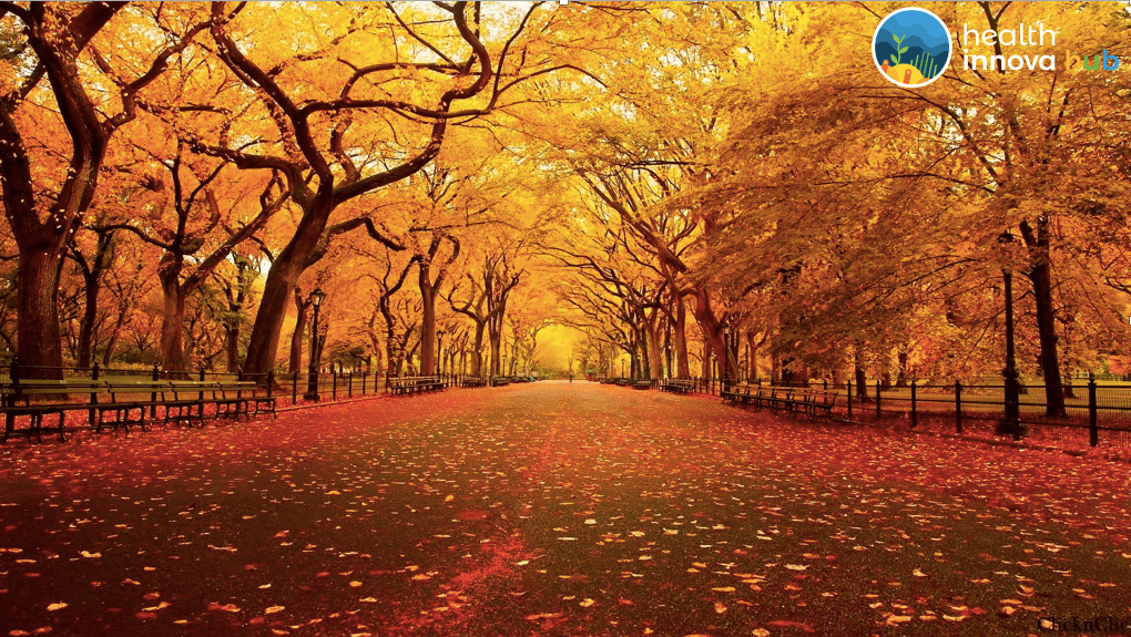 Saúde+Ação Connection:  Onde investir com a queda da taxa de juros? c/Guilherme Attuy, XP Investimentos (10/8,&nbsp;20:00hs)