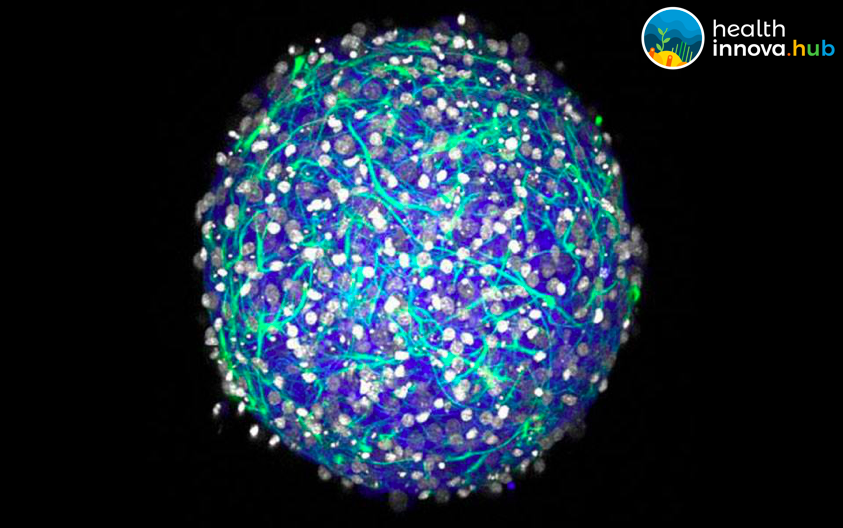 Screen Shot 2017-08-26 at 8.47.08 AM