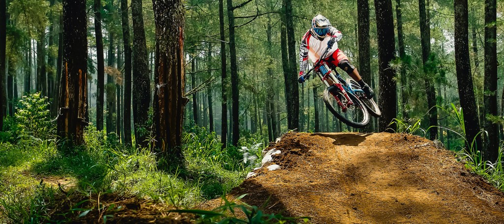 Finding Peace In Your&nbsp;Backyard