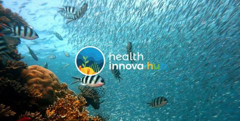 Health Innova HUB sem logo