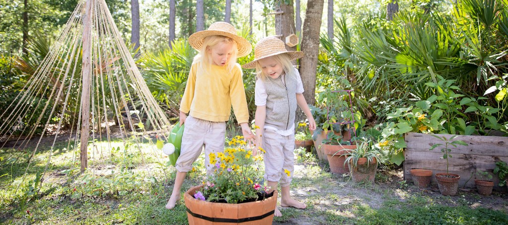 The Finest Maui&nbsp;Coffee