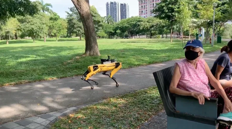 Covid-19: uma forma inusitada de monitorar&nbsp;parques