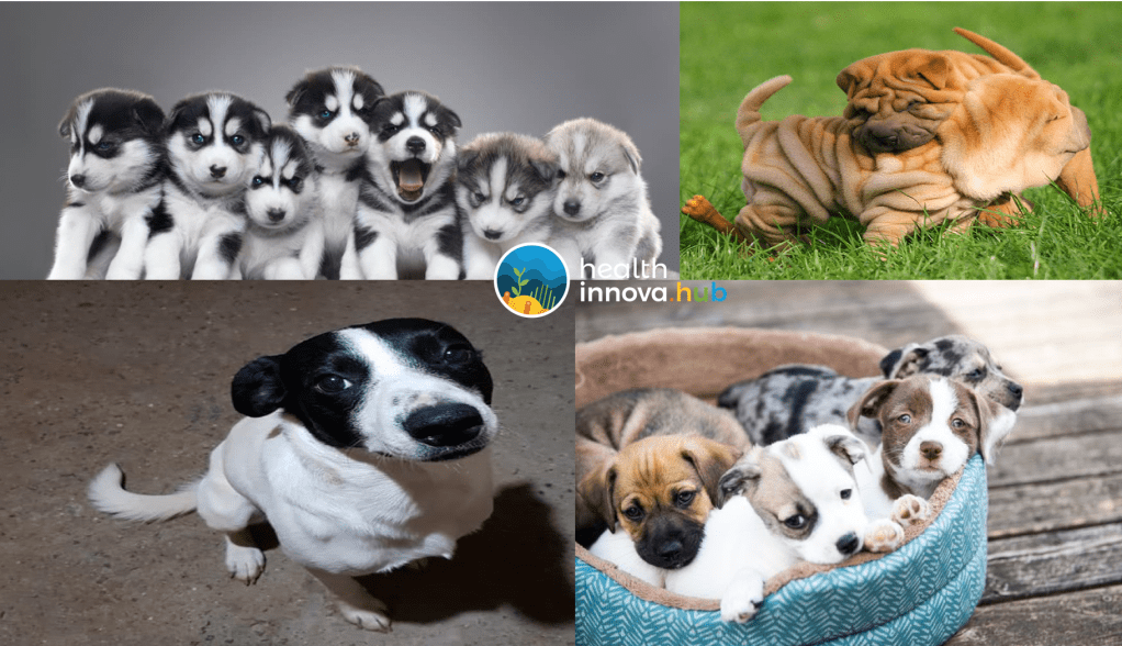 Feliz Dia dos Namorados&nbsp;2019