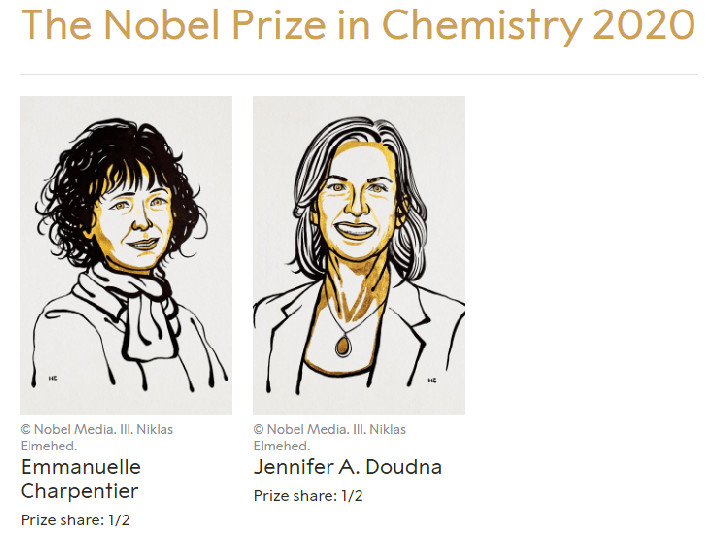 02 Cientistas recebem o NOBEL para a EDIÇÃO de&nbsp;GENES!